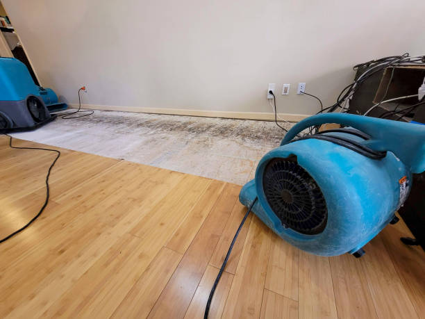 Professional Basement Flood Cleanup technician working in Toppenish, WA